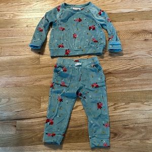 Cat and Jack Green Velour Matching Set 2T